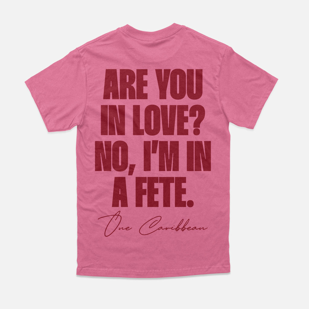IN A FÊTE. — Limited Colorway Tee