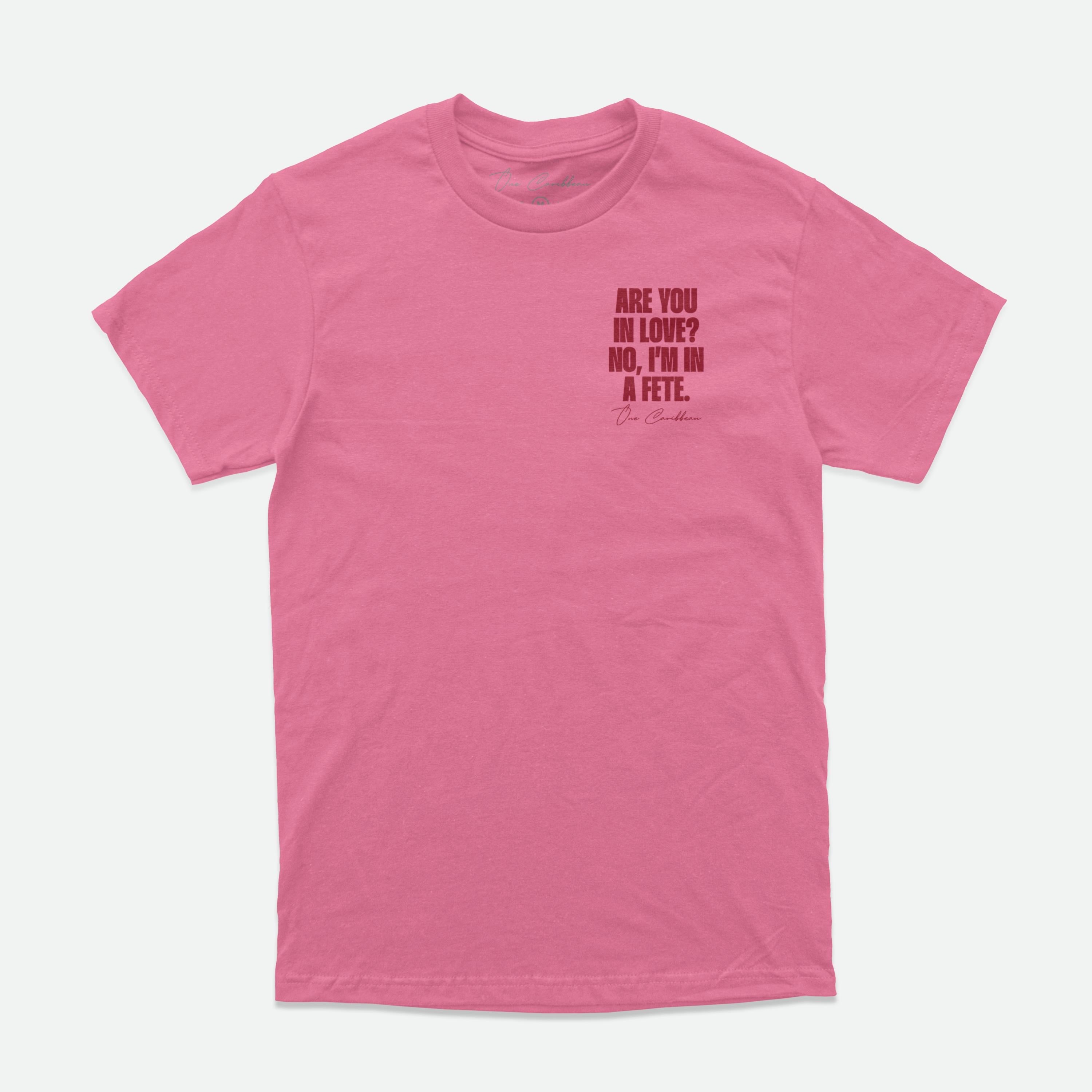 IN A FÊTE. — Limited Colorway Tee