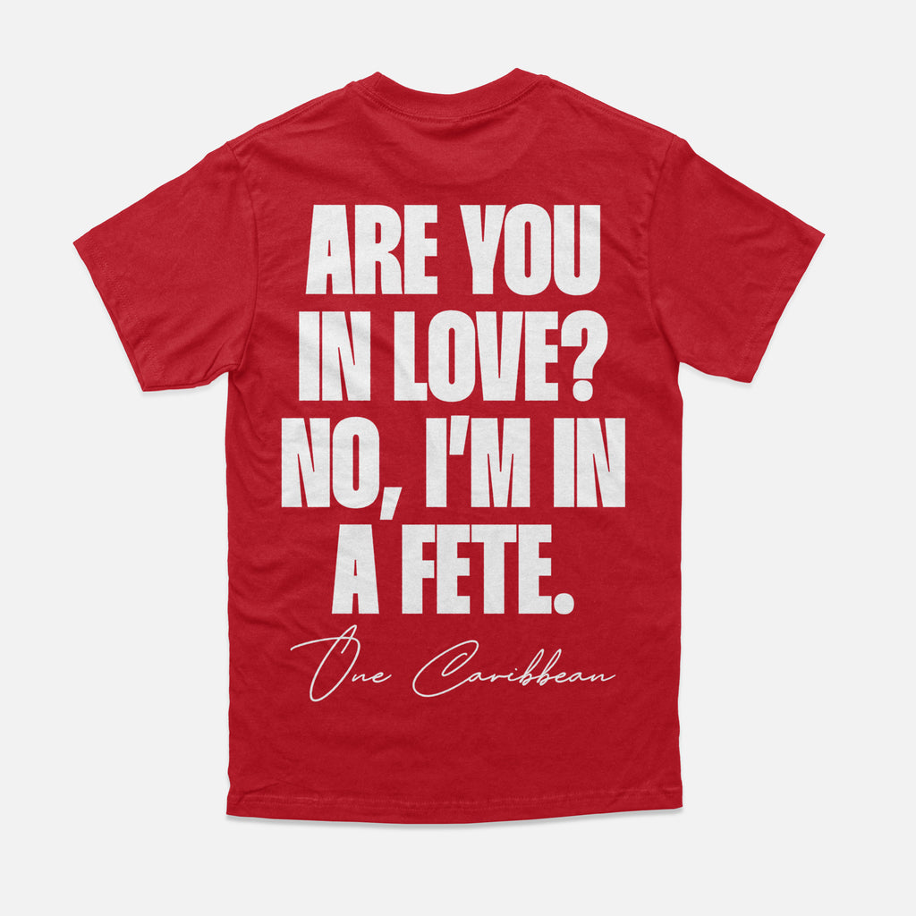IN A FÊTE. — Limited Colorway Tee