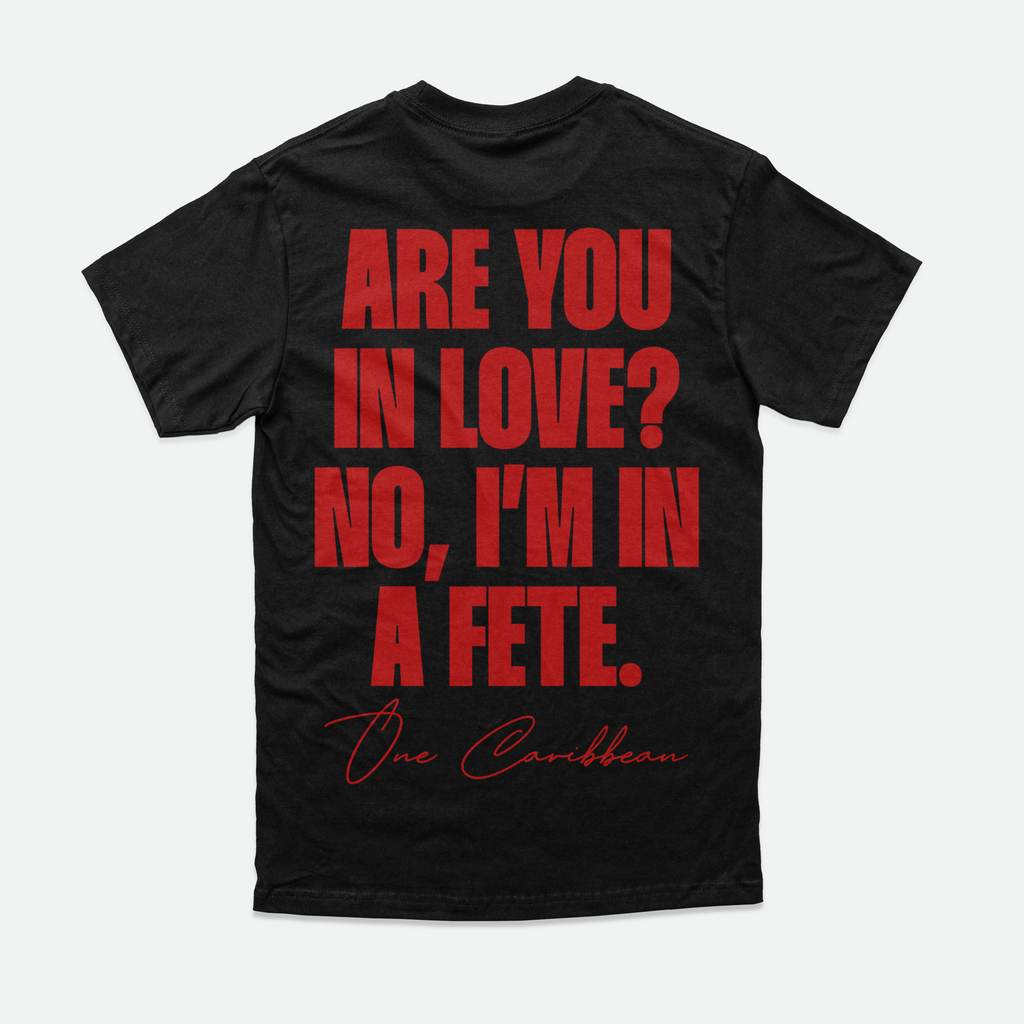 IN A FÊTE. — Limited Colorway Tee