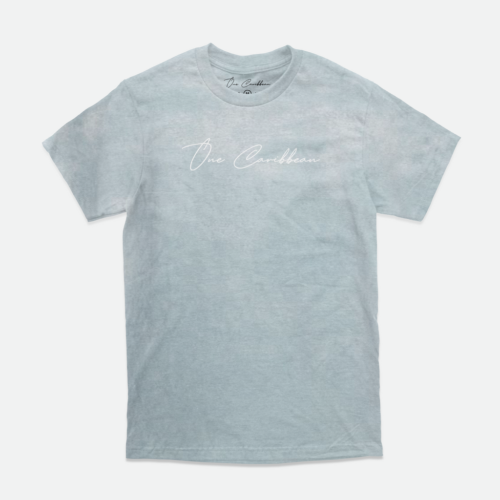 One Caribbean Jouvert Tees | 'Need Money For Carnival' in Smoke & Ocean